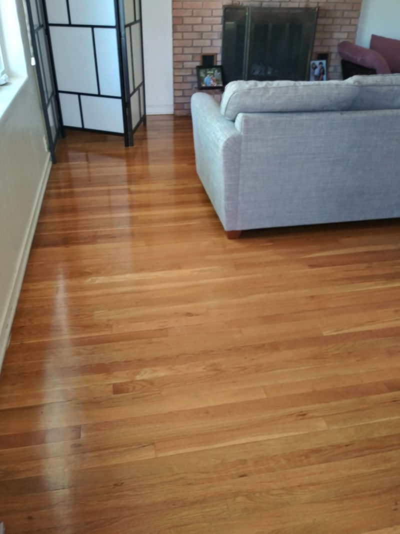 Natural Wood Polish Safi Home Works