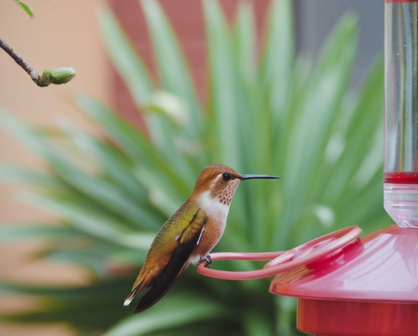 Using Mild Cleaning Agents, Keeping Animals Safe